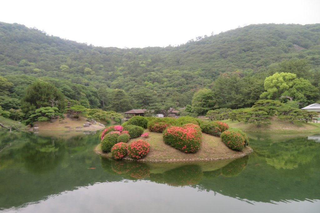 ハナショウブと見ごろの花々（2025.5.29）