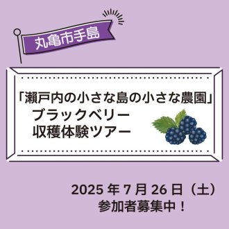 ブラックベリー収穫体験ツアー参加者募集