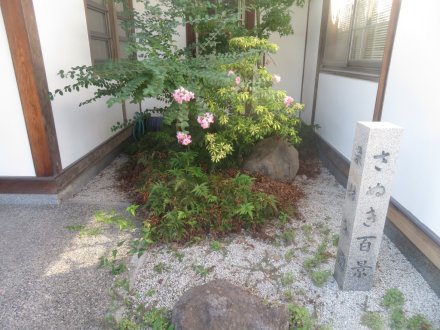 ハギの様子と見ごろの花々（2025.10.7）