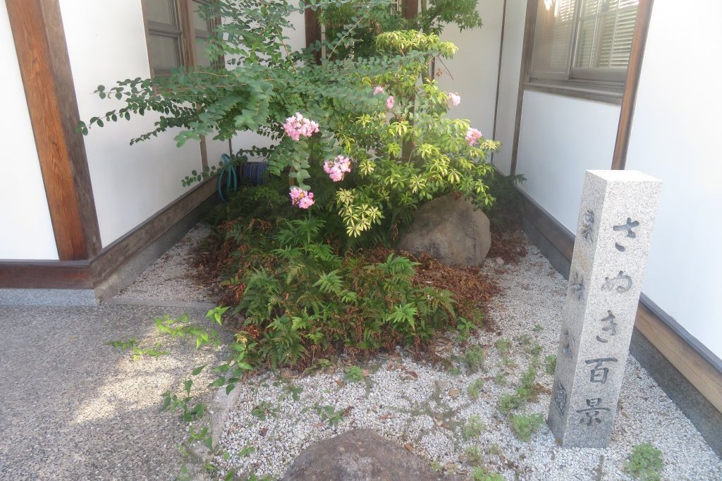 ハギの様子と見ごろの花々（2025.10.7）