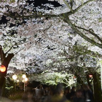  令和８年栗林公園春のライトアップの開催日程について