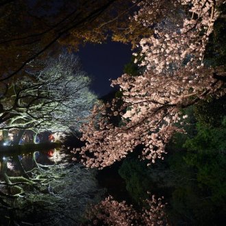  令和８年栗林公園春のライトアップの開催日程について