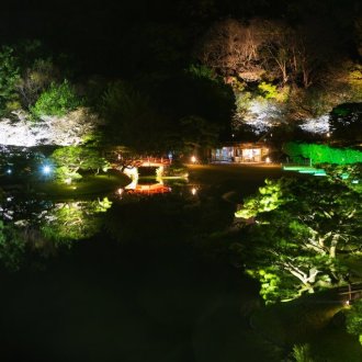 栗林公園 春のライトアップのお知らせ