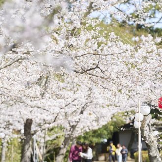 栗林公園の「お花見マップ」について
