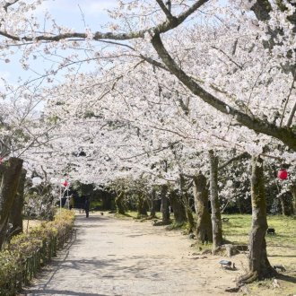 栗林公園の「お花見マップ」について