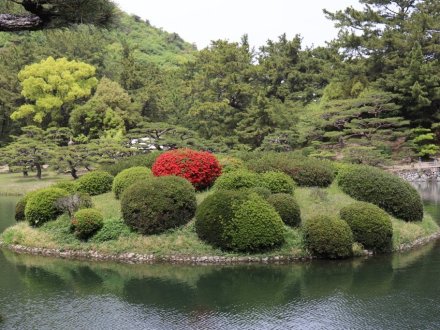 見ごろの花々(2026.4.21)