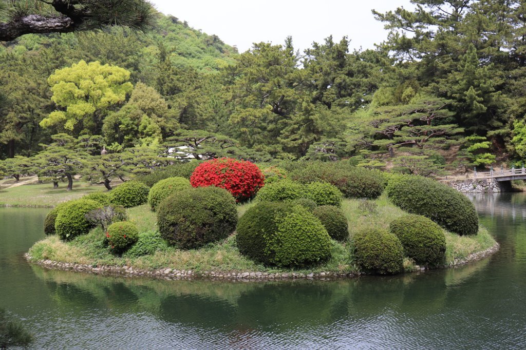 見ごろの花々(2026.4.21)