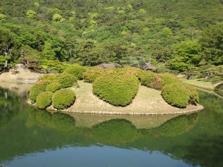 見ごろの花々（2026.5.10）