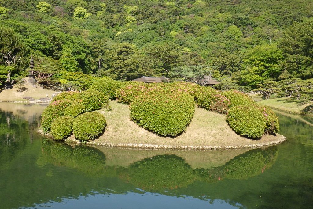 見ごろの花々（2026.5.10）