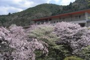 白鳥温泉