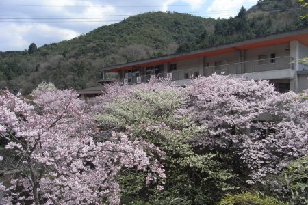 白鳥温泉