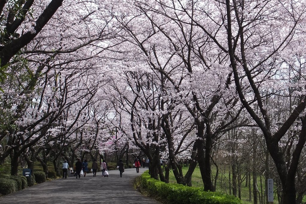 公渕森林公園