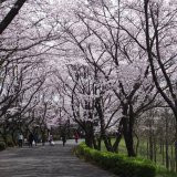 公渕森林公園