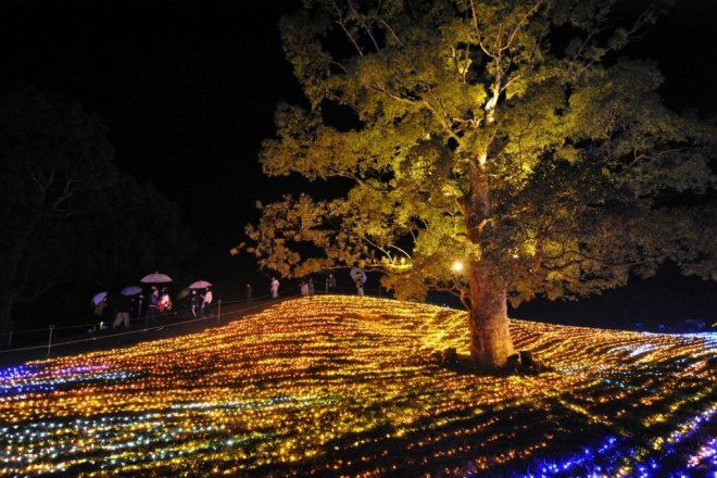 光の樹※画像は過去の実施状況