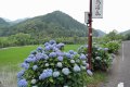 白鳥温泉