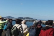 たどつALWAYS -たどついいとこ取り歴史街道＆沿岸コースは出会いの感動ドラマ-