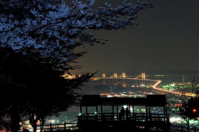 瀬戸大橋のライトアップを楽しめます