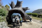 春爛漫！伊吹の島から桜の便り！