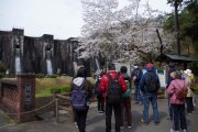 春の五郷を満喫しよう