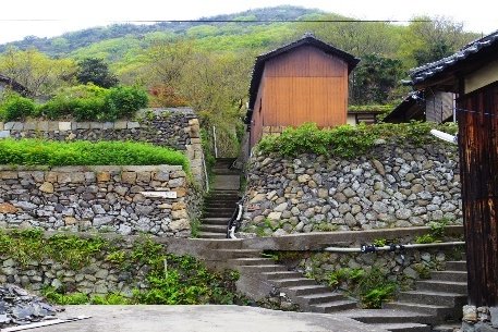 たどつALWAYSーてくてく高見島探検ー