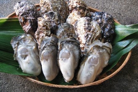 たどつALWAYSー「牡蠣づくし」と「空海の母の里」を訪ねる人気漫遊コースー