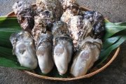 たどつALWAYSー「牡蠣づくし」と「空海の母の里」を訪ねる人気漫遊コースー