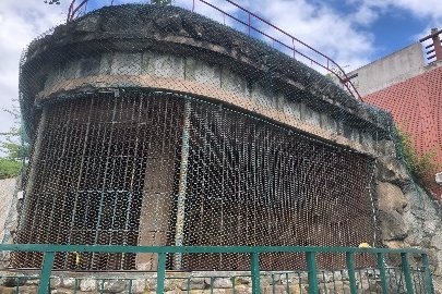 たどつALWAYSー現存最古！？桃陵公園猿舎へ行こうー