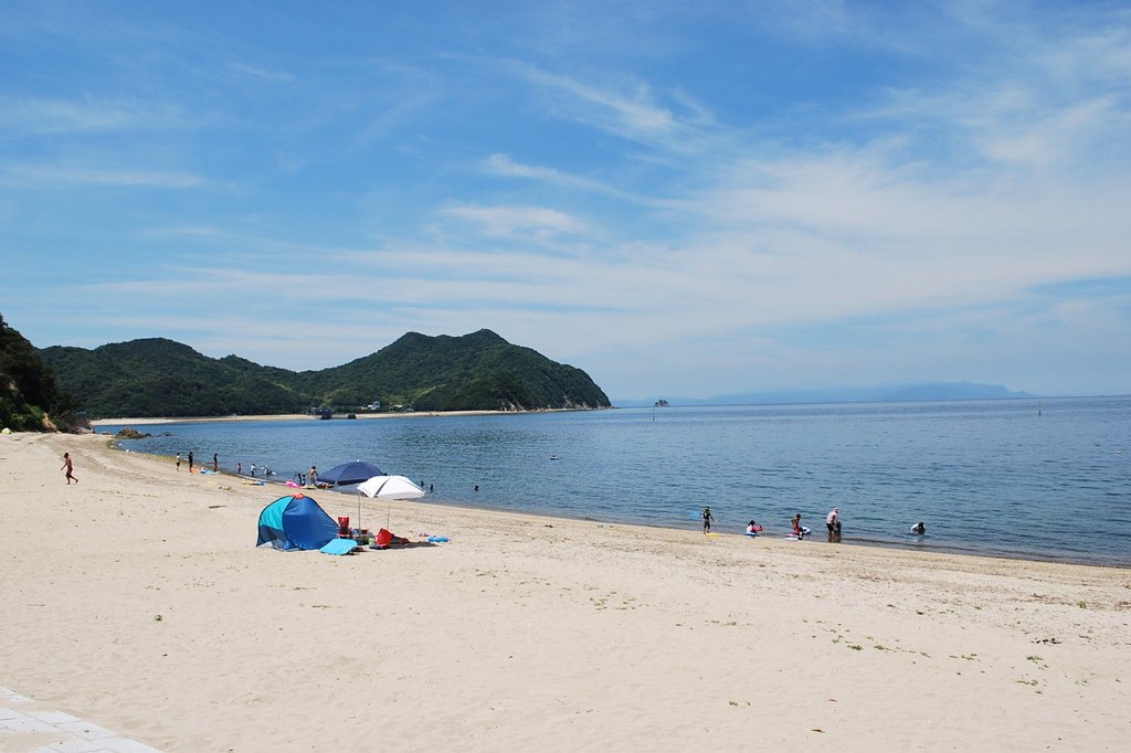 田の浦海岸