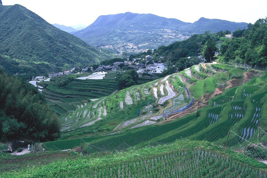 【ガイド付き】中山千枚田と農村歌舞伎舞台を満喫する散策&体験ツアー