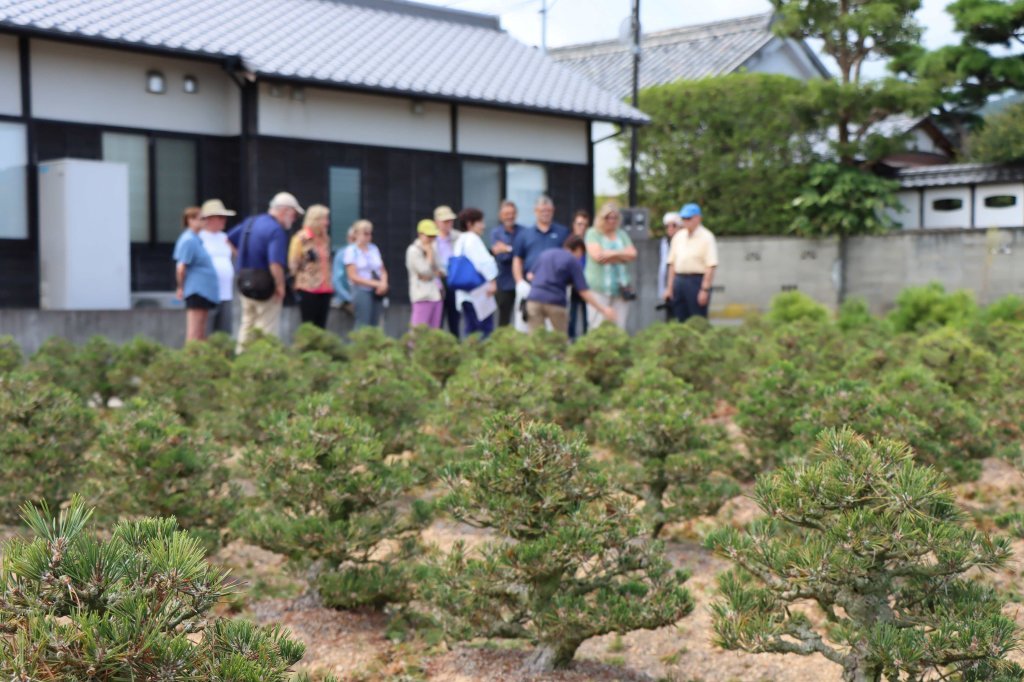 古墳×盆栽×桃太郎ー鬼無のルーツをひもとく旅