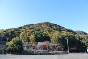 善通寺にお参りし、お大師さんと共に香色山の山頂を目指そう