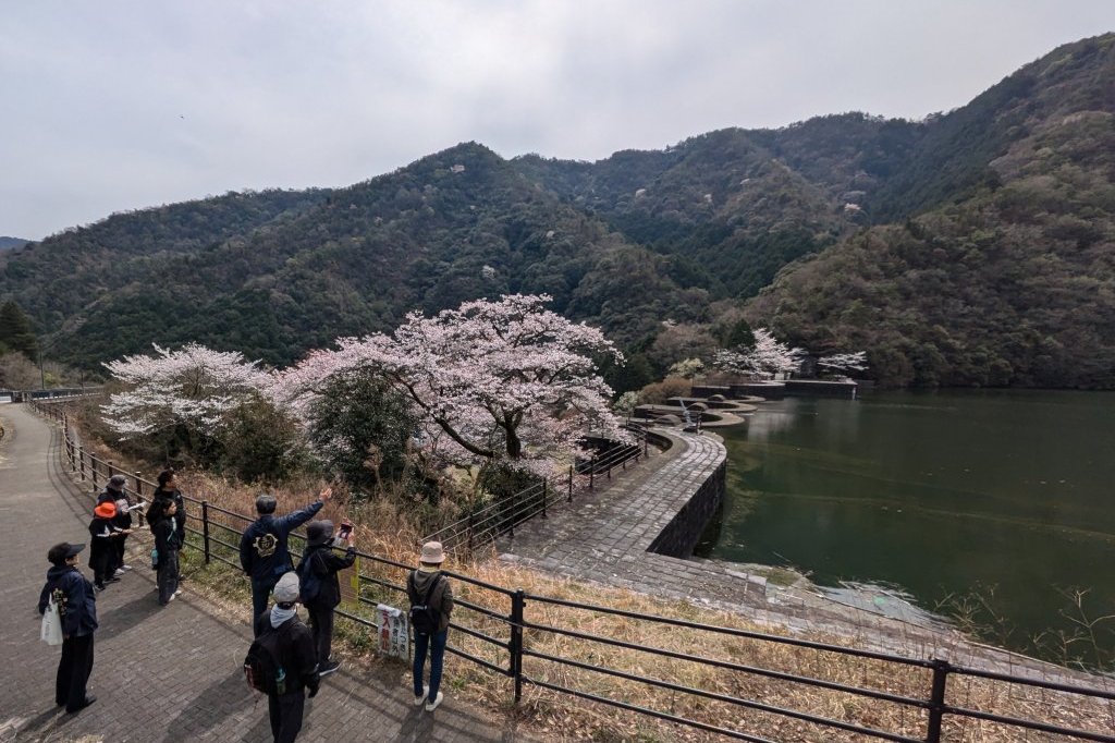 春の五郷を満喫しよう