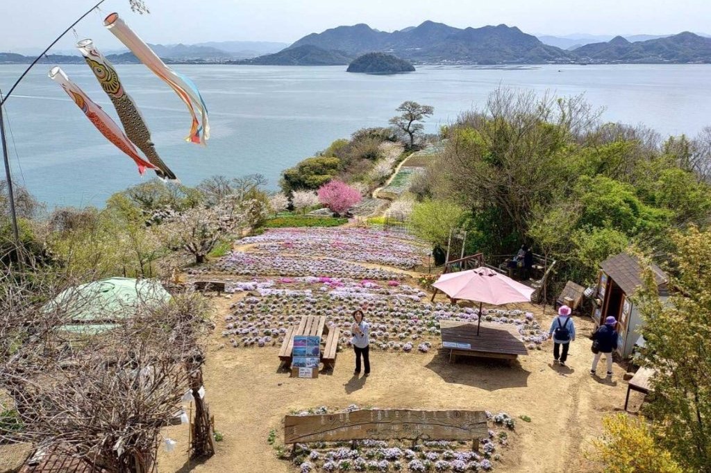 ジオで巡る「志々島」