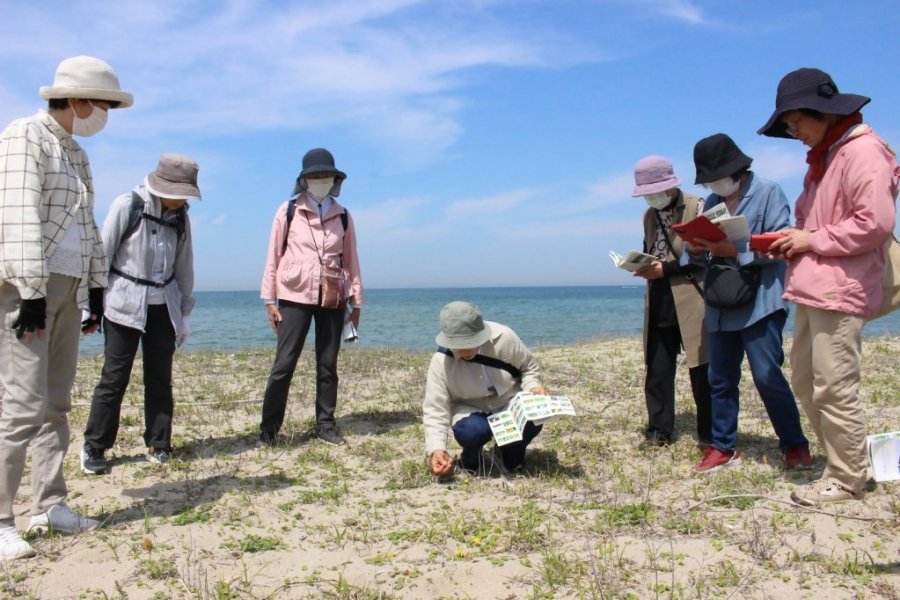 春の有明浜を歩こう！