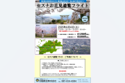 セスナお花見遊覧フライト
