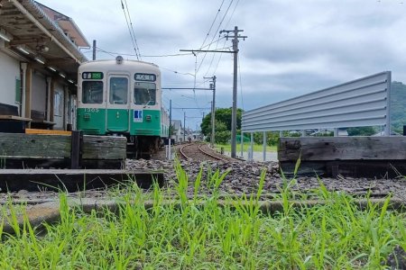 特別名勝　栗林（りつりん）公園