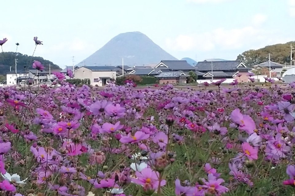 こんぴら象郷の自然・伝承をめぐるツアー