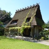 綾歌森林公園畦田キャンプ場