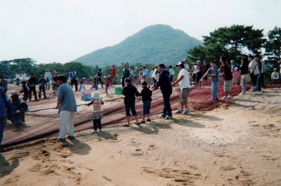 津田港観光地曳網