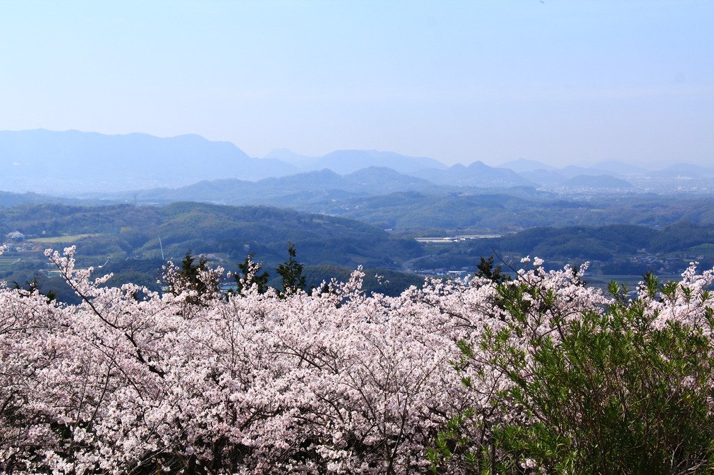 塔重山公園