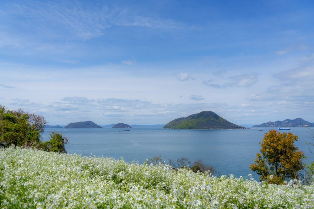 志々島