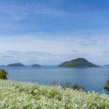 志々島