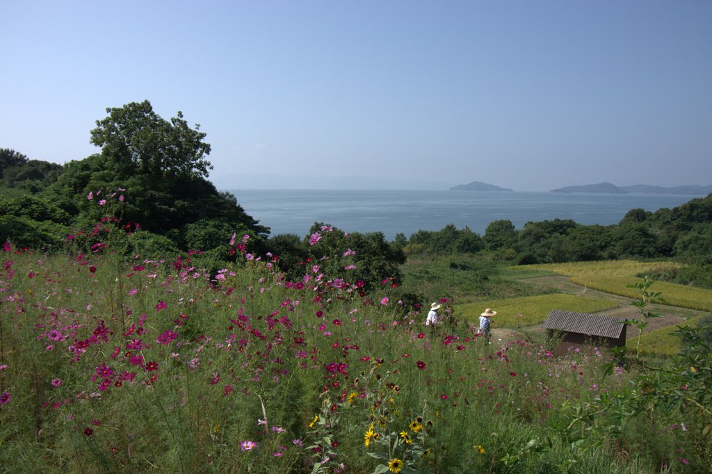 豊島