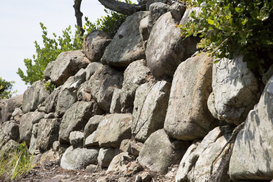 引田城跡（城山）