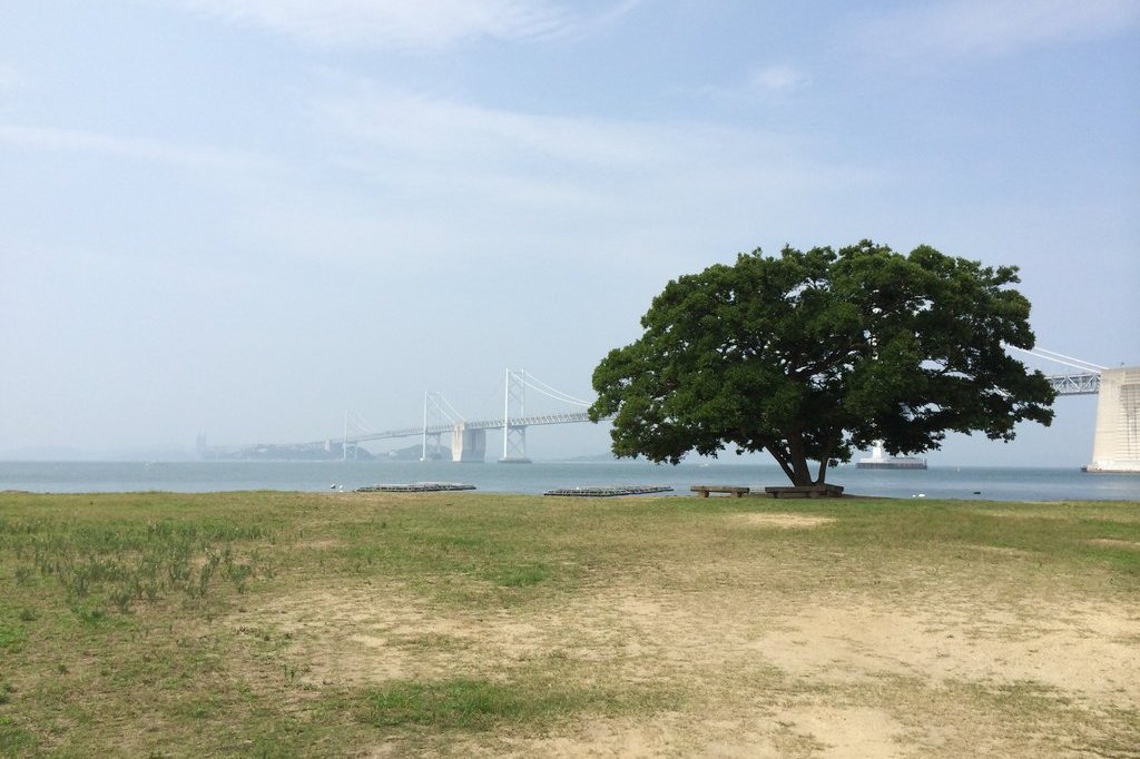 沙弥島
