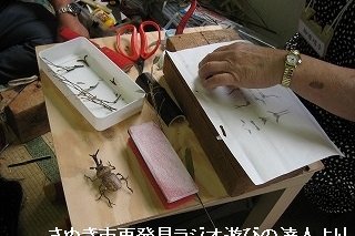 バンジョイ塾（竹の学校） 　 
