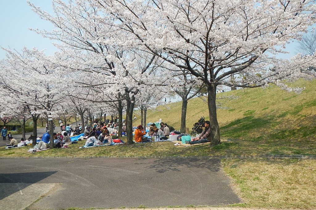 さぬき空港公園 スポット 体験 香川県観光協会公式サイト うどん県旅ネット