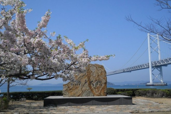 桜と記念碑