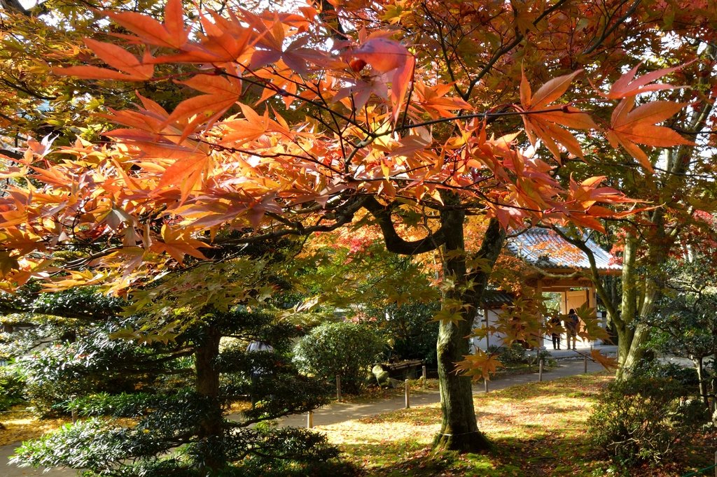 法泉寺