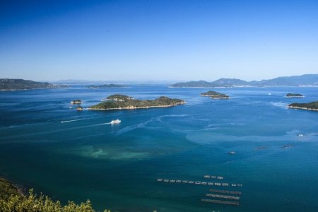 讃岐の3大名所を一日で制覇!屋島・栗林公園・こんぴらさんをめぐる王道ツアー